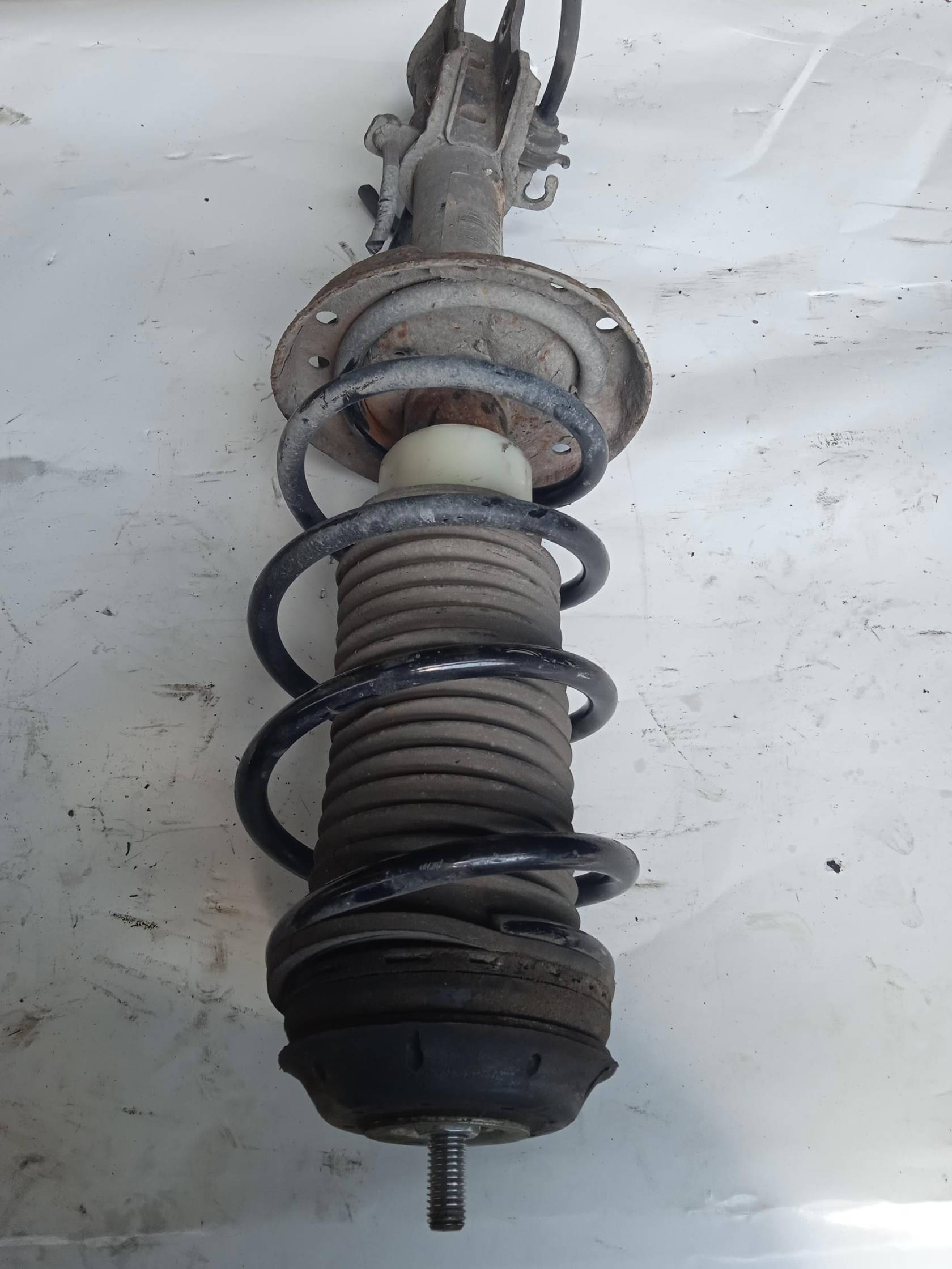 Ammortizzatore ant. sx.